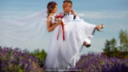 Preview of the photographer's website