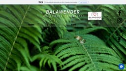 Preview of the photographer's website