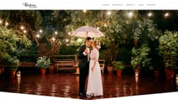 Preview of the photographer's website