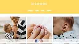 Preview of the photographer's website