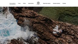 Preview of the photographer's website
