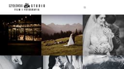 Preview of the photographer's website