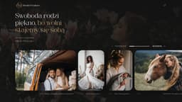 Preview of the photographer's website