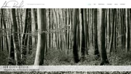 Preview of the photographer's website