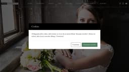 Preview of the photographer's website