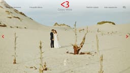 Preview of the photographer's website
