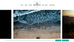 Preview of the photographer's website