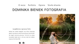 Preview of the photographer's website