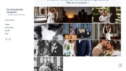 Preview of the photographer's website