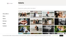 Preview of the photographer's website