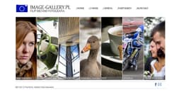 Preview of the photographer's website