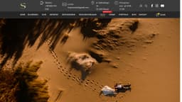 Preview of the photographer's website