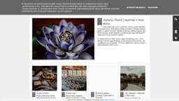 Preview of the photographer's website