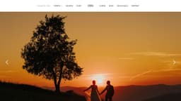 Preview of the photographer's website