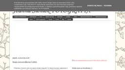 Preview of the photographer's website