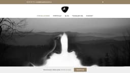 Preview of the photographer's website