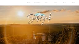 Preview of the photographer's website