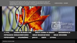 Preview of the photographer's website
