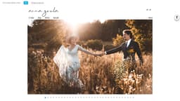 Preview of the photographer's website
