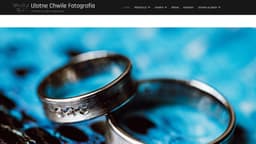Preview of the photographer's website