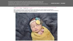 Preview of the photographer's website