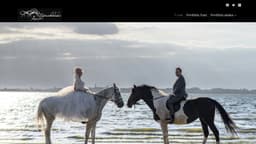 Preview of the photographer's website