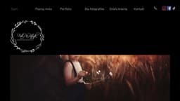 Preview of the photographer's website