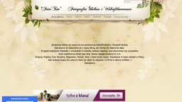 Preview of the photographer's website