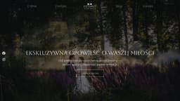 Preview of the photographer's website