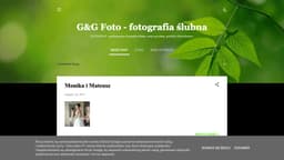 Preview of the photographer's website