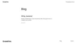 Preview of the photographer's website
