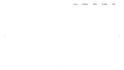 Preview of the photographer's website
