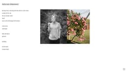 Preview of the photographer's website