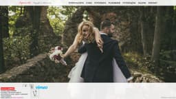 Preview of the photographer's website