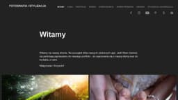 Preview of the photographer's website