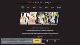 Preview of the photographer's website