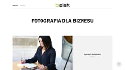 Preview of the photographer's website