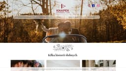 Preview of the photographer's website