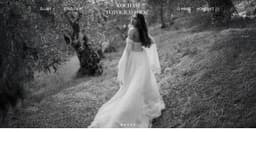 Preview of the photographer's website