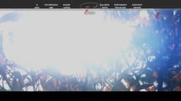 Preview of the photographer's website