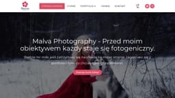 Preview of the photographer's website
