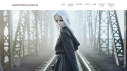 Preview of the photographer's website