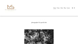 Preview of the photographer's website