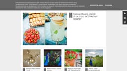 Podgląd strony internetowej fotografa