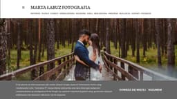 Preview of the photographer's website