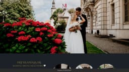 Preview of the photographer's website
