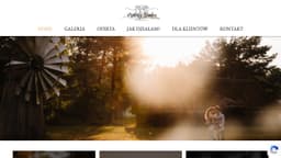 Preview of the photographer's website