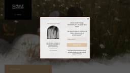 Preview of the photographer's website