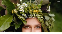 Preview of the photographer's website