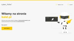 Preview of the photographer's website